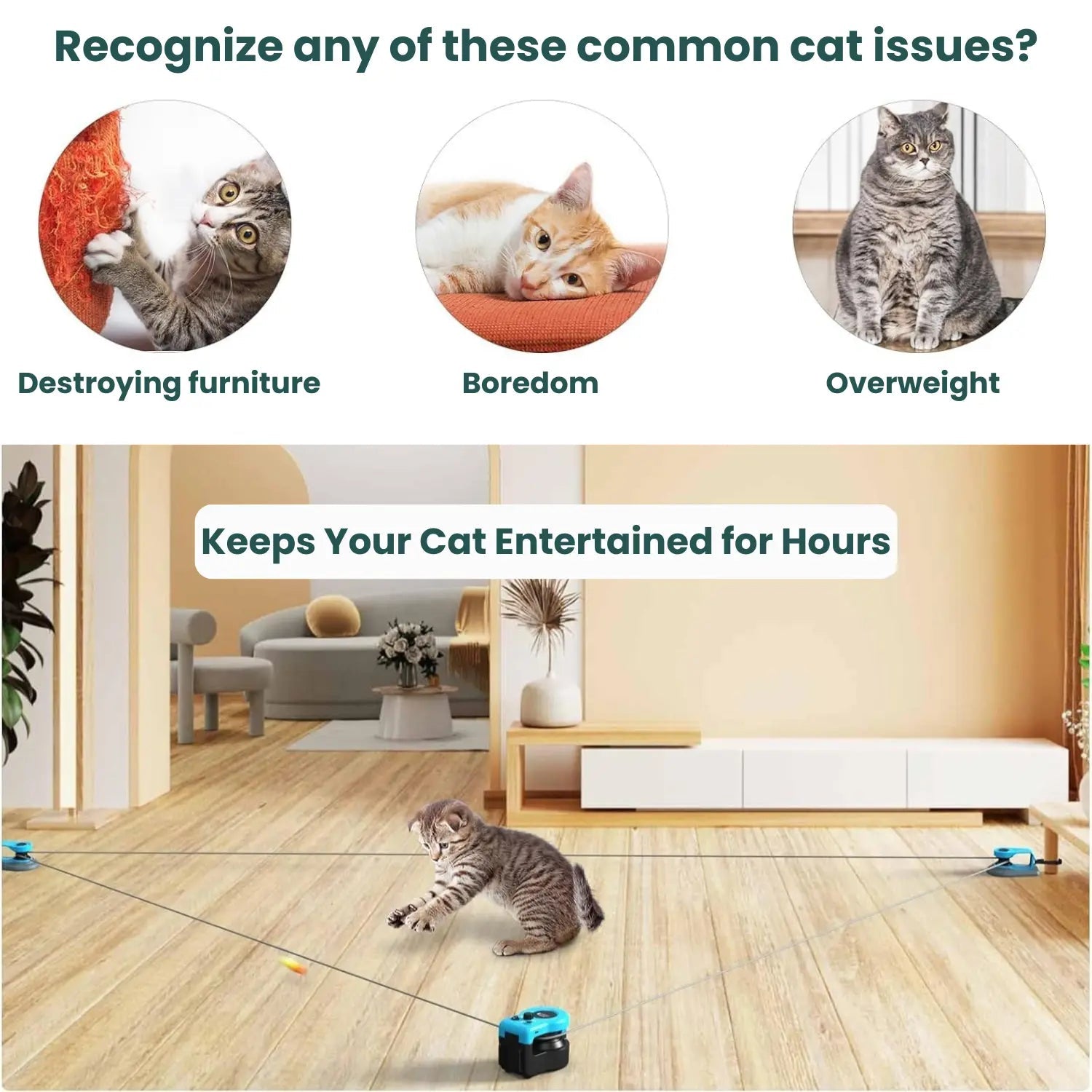 EasyPaw™ Chasing Toy - Easypaw