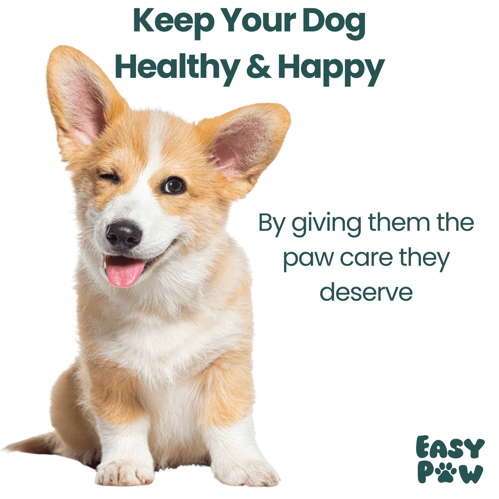 EasyPaw™ Grooming Kit - Easypaw