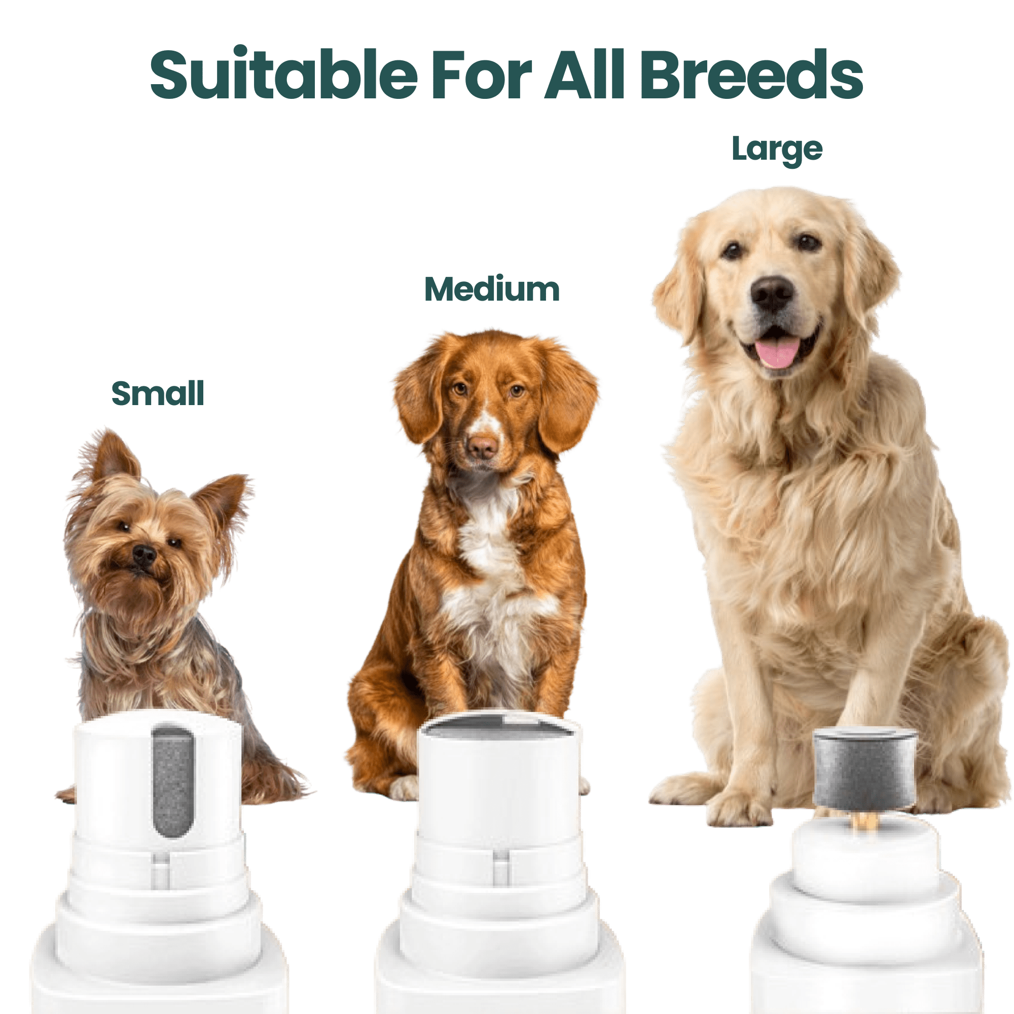 EasyPaw™ Grooming Kit - Easypaw