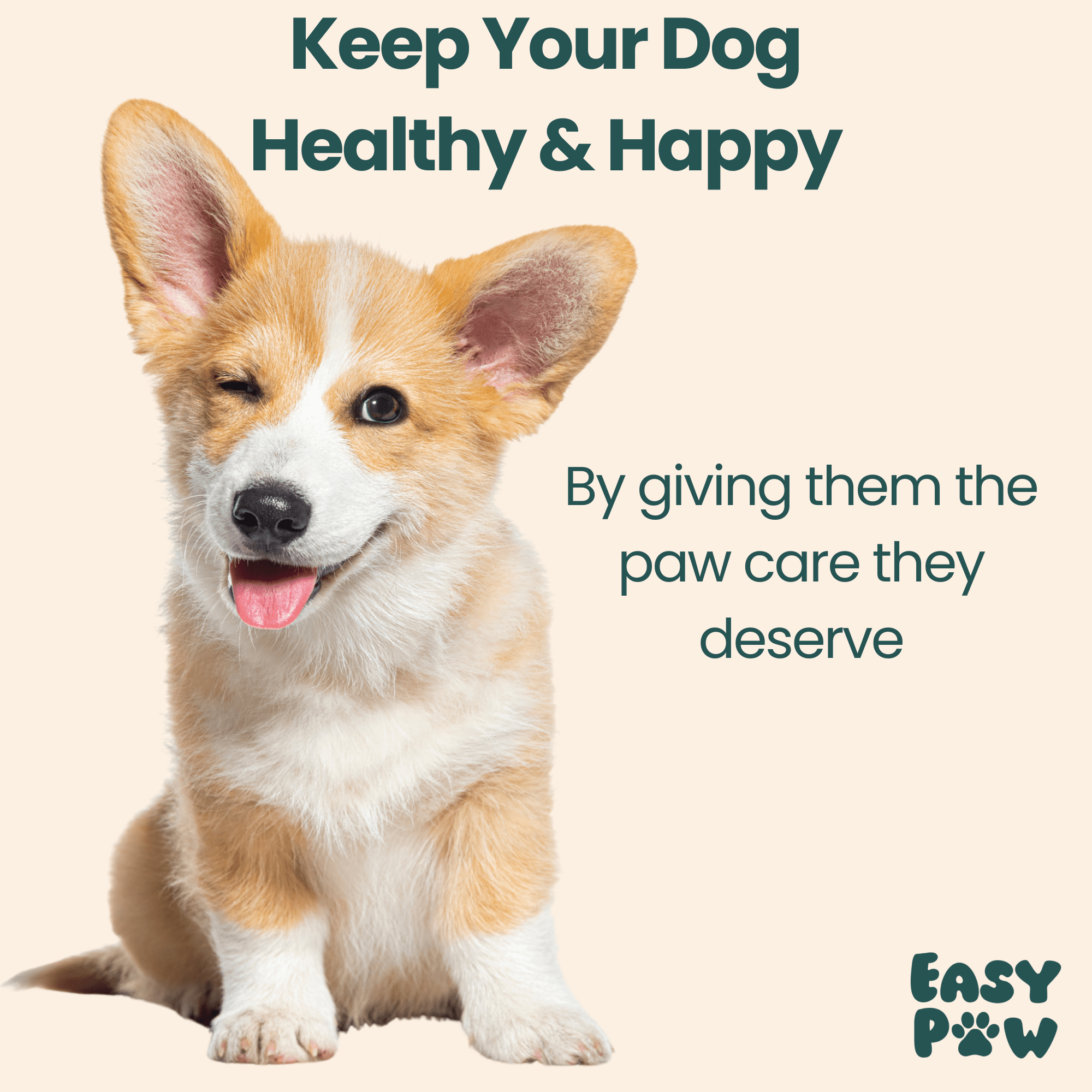 EasyPaw™ Grooming Trimmer - Easypaw