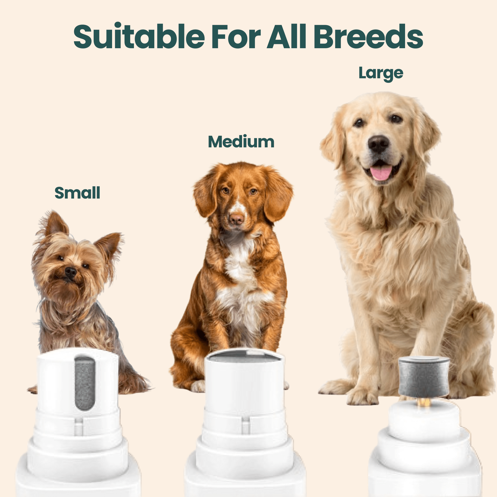 EasyPaw™ Nail Grinder - Easypaw