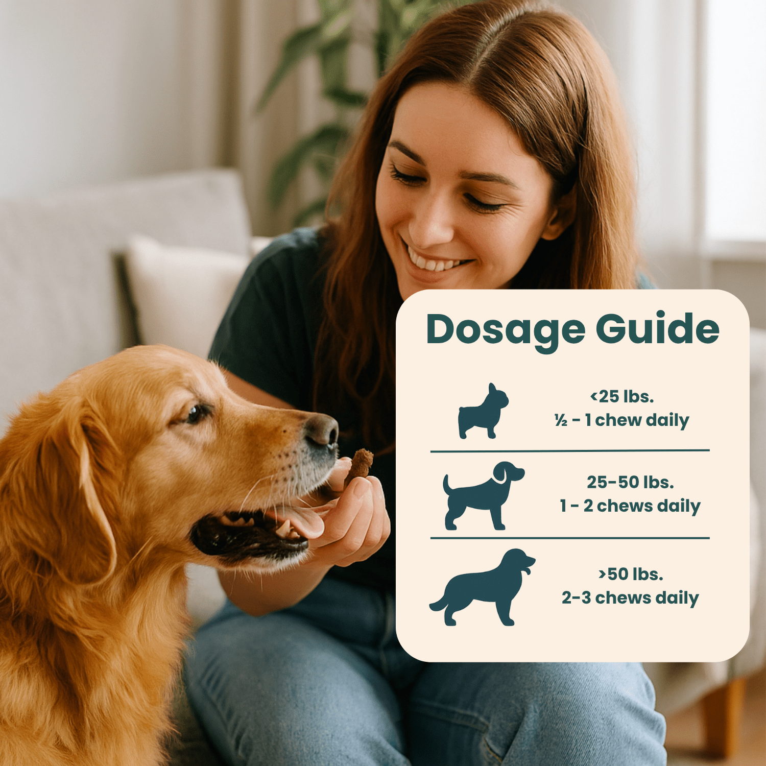 Hip & Joint Supplement - Easypaw